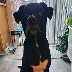 Fear‑Free & Fabulous